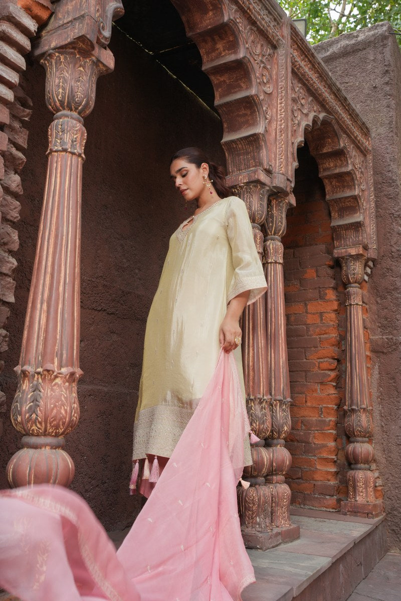 Aditi Beige And Pink Shimmer Suit Set