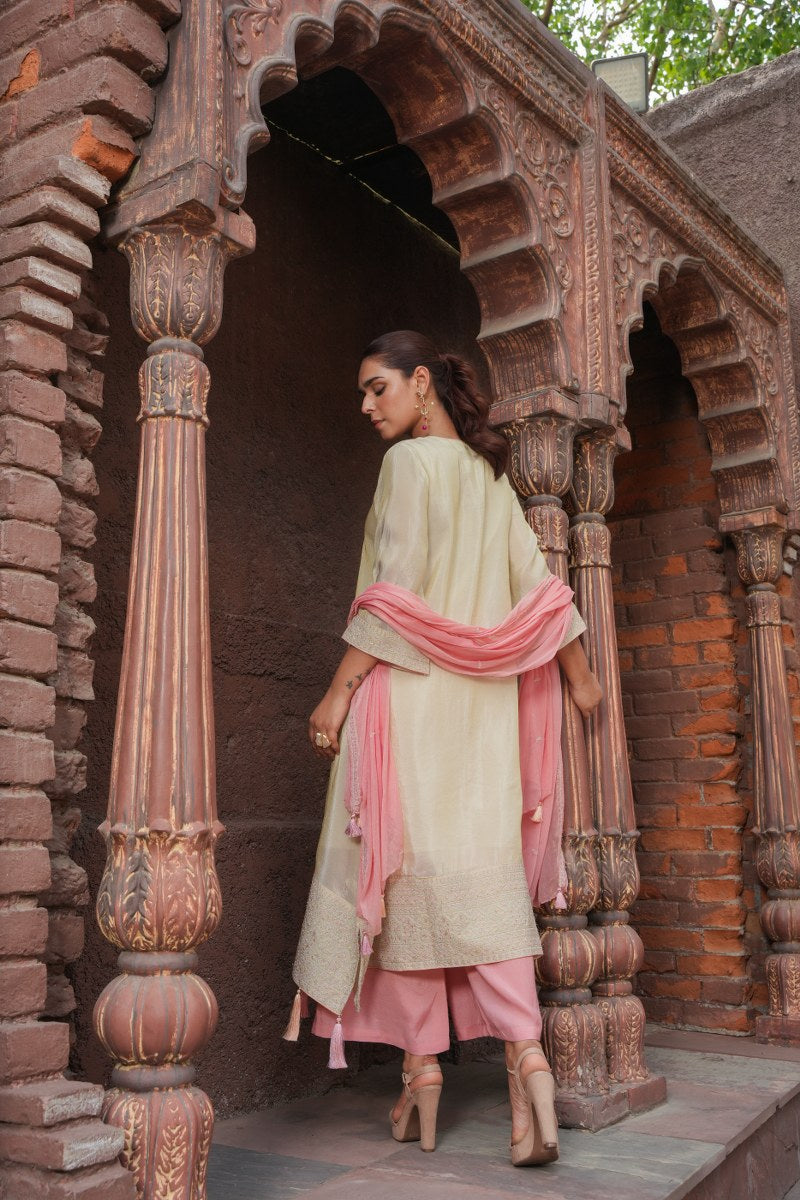 Aditi Beige And Pink Shimmer Suit Set