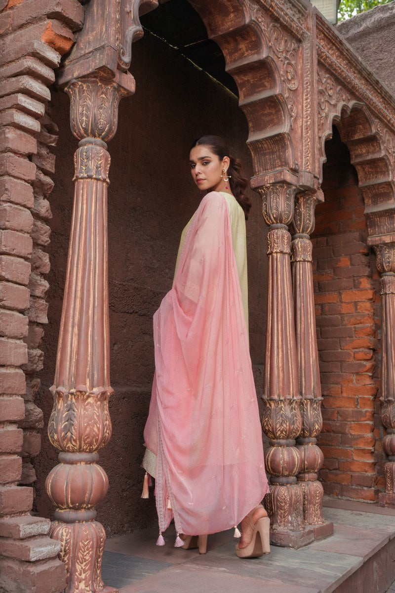 Aditi Beige And Pink Shimmer Suit Set